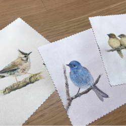 Sunbird｜手繪臺灣｜拭淨布｜斑文鳥家族 / 黑枕藍鶲 / 冠羽畫眉