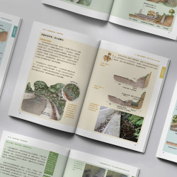 ｜環境生態｜與野共生：國有林區治理工程友善生態圖輯