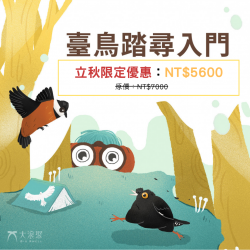 線上課程｜臺鳥踏尋入門