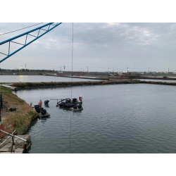 ｜成龍溼地選物店｜ 郭棟阿公的文蛤